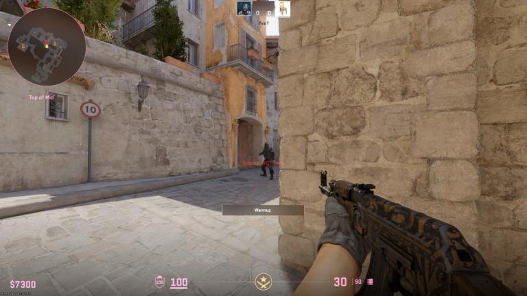 CS2 crosshair